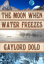The Moon When Water Freezes book cover